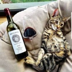 بیت رپ جدید رایگان بنام بی جنبه با کیفیت بالا