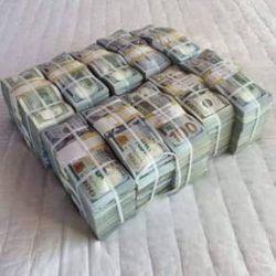 بیت ترپ