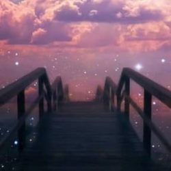 بیت دیترویت